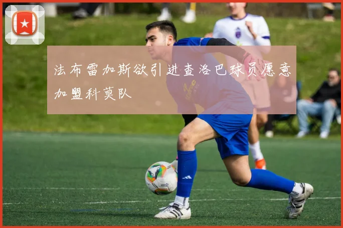 法布雷加斯欲引进查洛巴球员愿意加盟科莫队